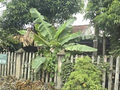 Đọc nhanh bài viết 1013278