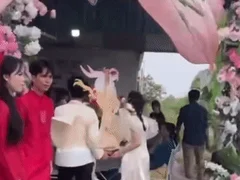 Đọc nhanh bài viết 1013357