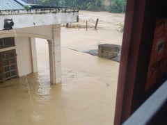 Đọc nhanh bài viết 1013374