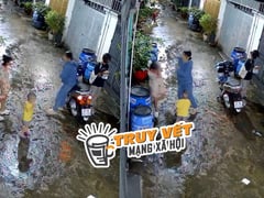 Đọc nhanh bài viết 1013435
