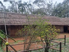 Đọc nhanh bài viết 1013441
