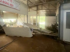 Đọc nhanh bài viết 1013543