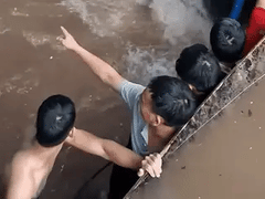 Đọc nhanh bài viết 1013568