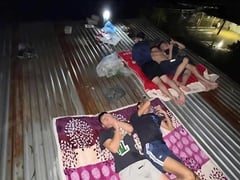 Đọc nhanh bài viết 1013619