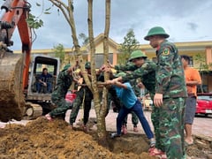 Đọc nhanh bài viết 1013623