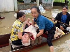Đọc nhanh bài viết 1013627