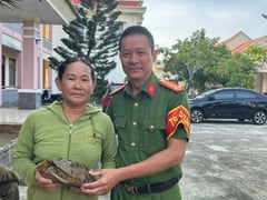 Đọc nhanh bài viết 1013747