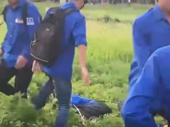 Đọc nhanh bài viết 1013832