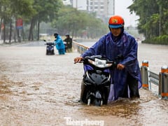 Đọc nhanh bài viết 1013868