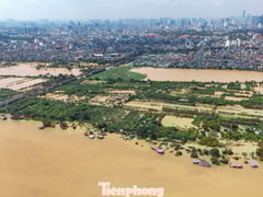 Đọc nhanh bài viết 1013883
