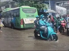 Đọc nhanh bài viết 1013920