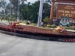 Đọc nhanh bài viết 1014060
