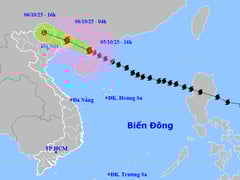 Đọc nhanh bài viết 1014320