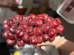 Đọc nhanh bài viết 1014344
