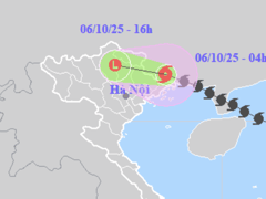 Đọc nhanh bài viết 1014346