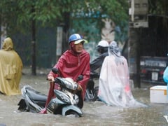 Đọc nhanh bài viết 1014353