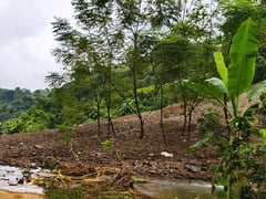 Đọc nhanh bài viết 1014486
