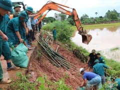 Đọc nhanh bài viết 1014703