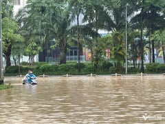 Đọc nhanh bài viết 1014706