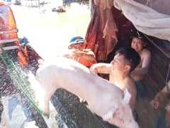 Đọc nhanh bài viết 1014875