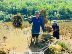 Đọc nhanh bài viết 1014899