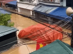 Đọc nhanh bài viết 1014919