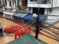 Đọc nhanh bài viết 1014994