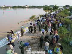Đọc nhanh bài viết 1015018