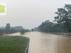 Đọc nhanh bài viết 1015098