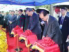Đọc nhanh bài viết 1015102