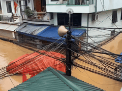 Đọc nhanh bài viết 1015108