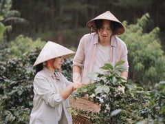 Đọc nhanh bài viết 1015122