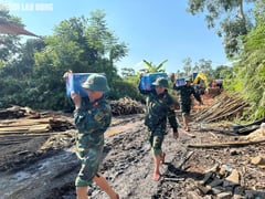 Đọc nhanh bài viết 1015162