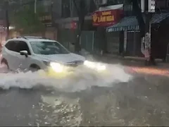 Đọc nhanh bài viết 1015224