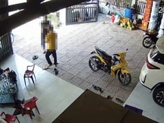 Đọc nhanh bài viết 1015235