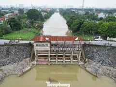 Đọc nhanh bài viết 1015520