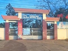 Đọc nhanh bài viết 1015551