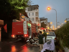 Đọc nhanh bài viết 1015572
