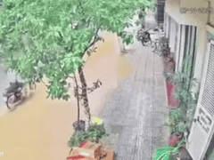 Đọc nhanh bài viết 1015600