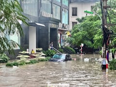 Đọc nhanh bài viết 1015615