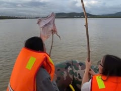 Đọc nhanh bài viết 1015821