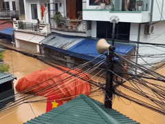 Đọc nhanh bài viết 1015831