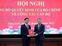 Đọc nhanh bài viết 1015854