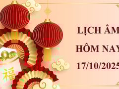 Đọc nhanh bài viết 1016082