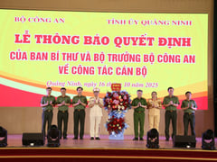 Đọc nhanh bài viết 1016090