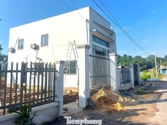 Đọc nhanh bài viết 1016155