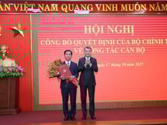 Đọc nhanh bài viết 1016179