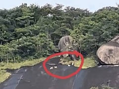 Ảnh bìa bài viết 1016189