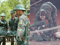 Đọc nhanh bài viết 1016250