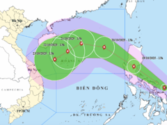 Đọc nhanh bài viết 1016375